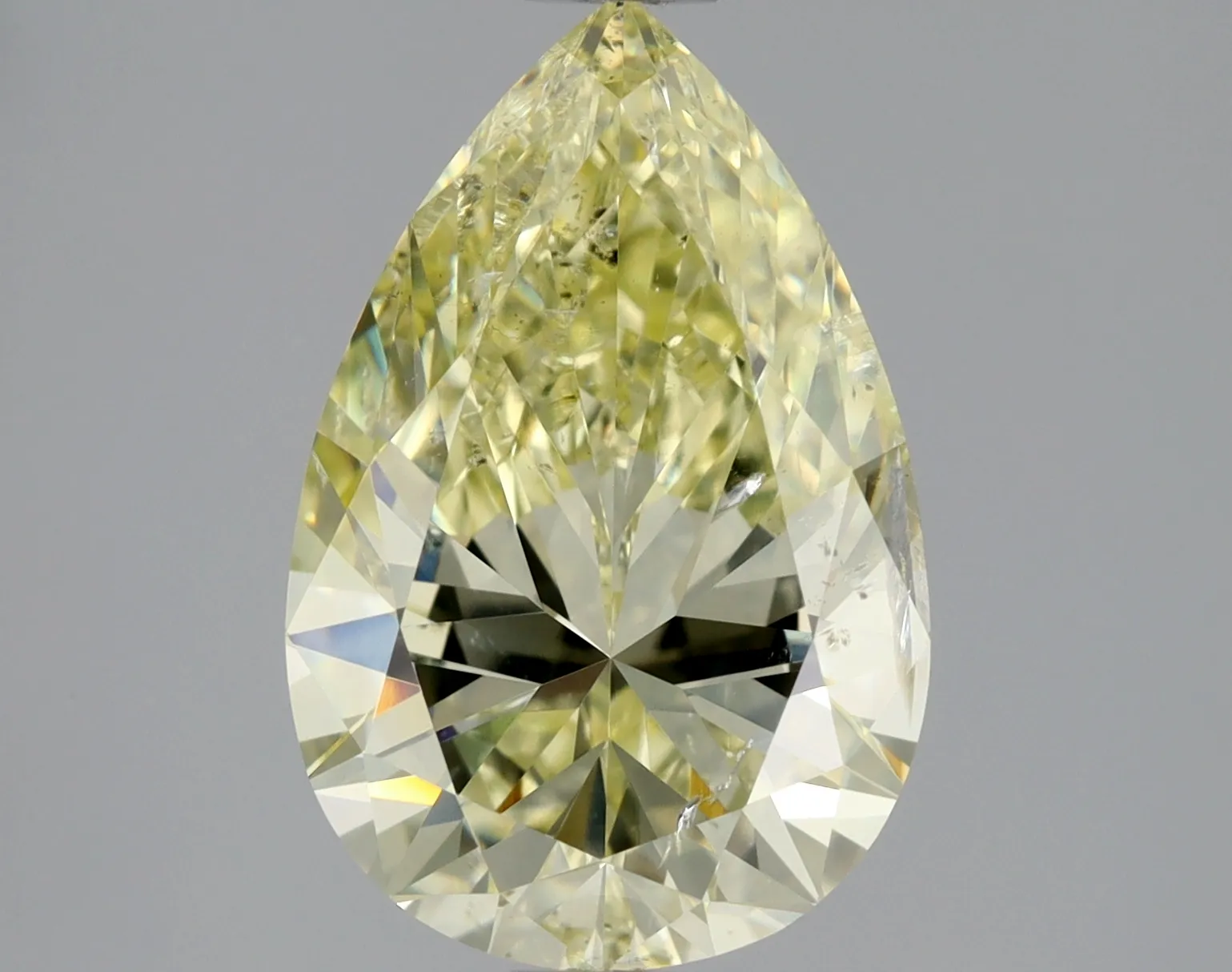 Pear 2.01 Y-Z I1 FNT